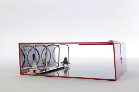 Ring Mechanisms Straight Dring